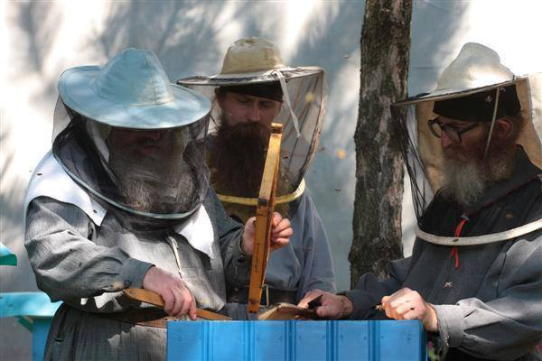 Fathers of Mount Athos working on honey hives